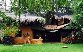 Banyan Lodge